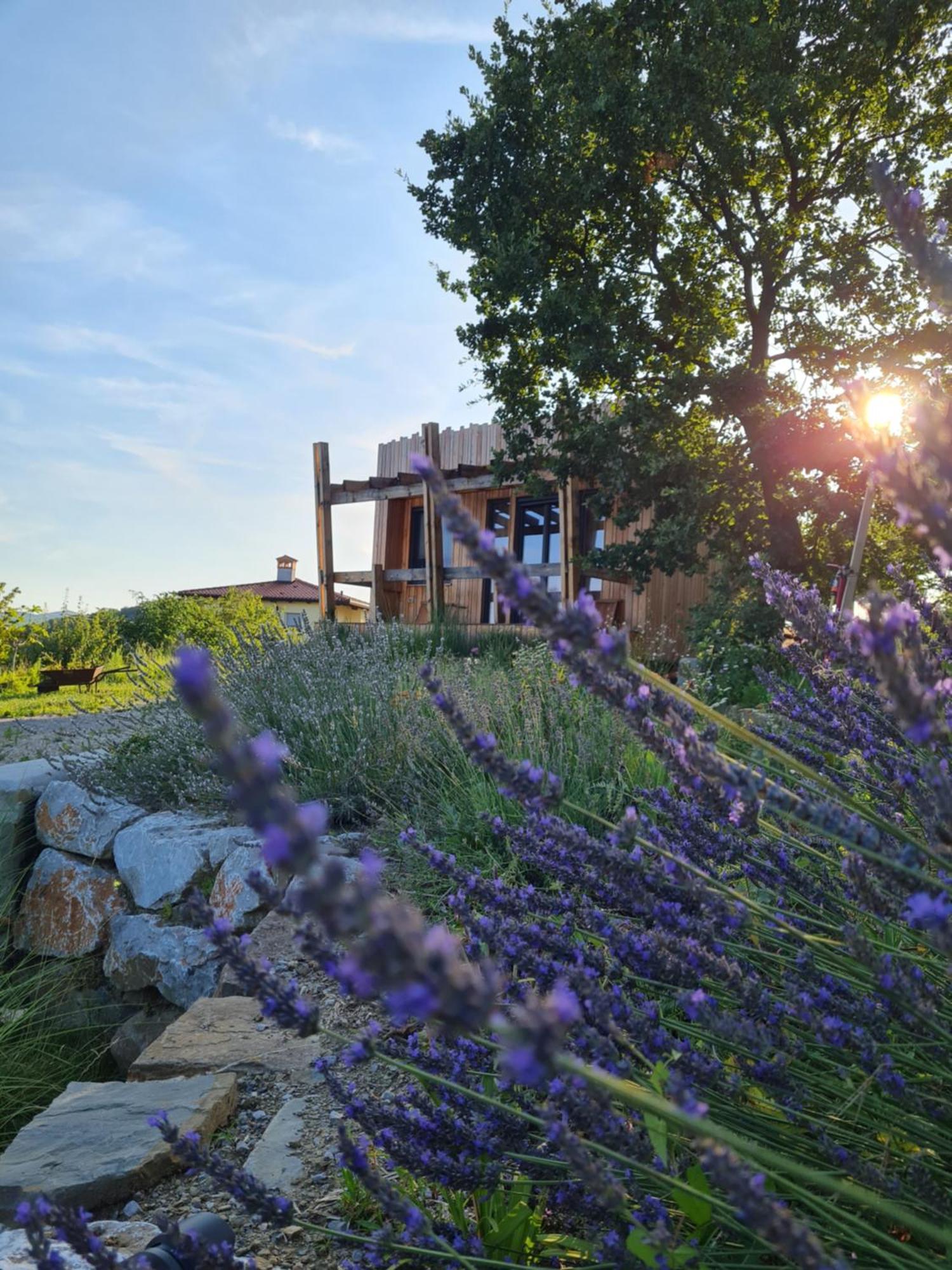 Panorama Glamping Vipavska Dolina Appartement Dobravlje Buitenkant foto